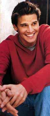 David Boreanaz