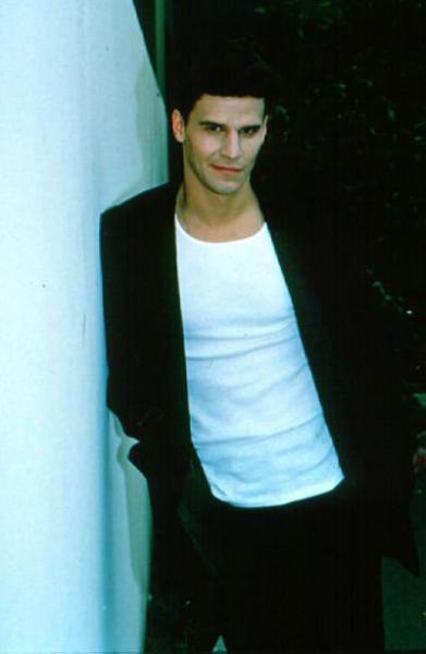 David Boreanaz